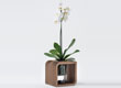 To Be - Cardboard vases, design by Giorgio Caporaso for Lessmore