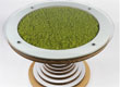 Clessidra table with moss